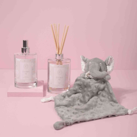 Home Spray Baby | Evora